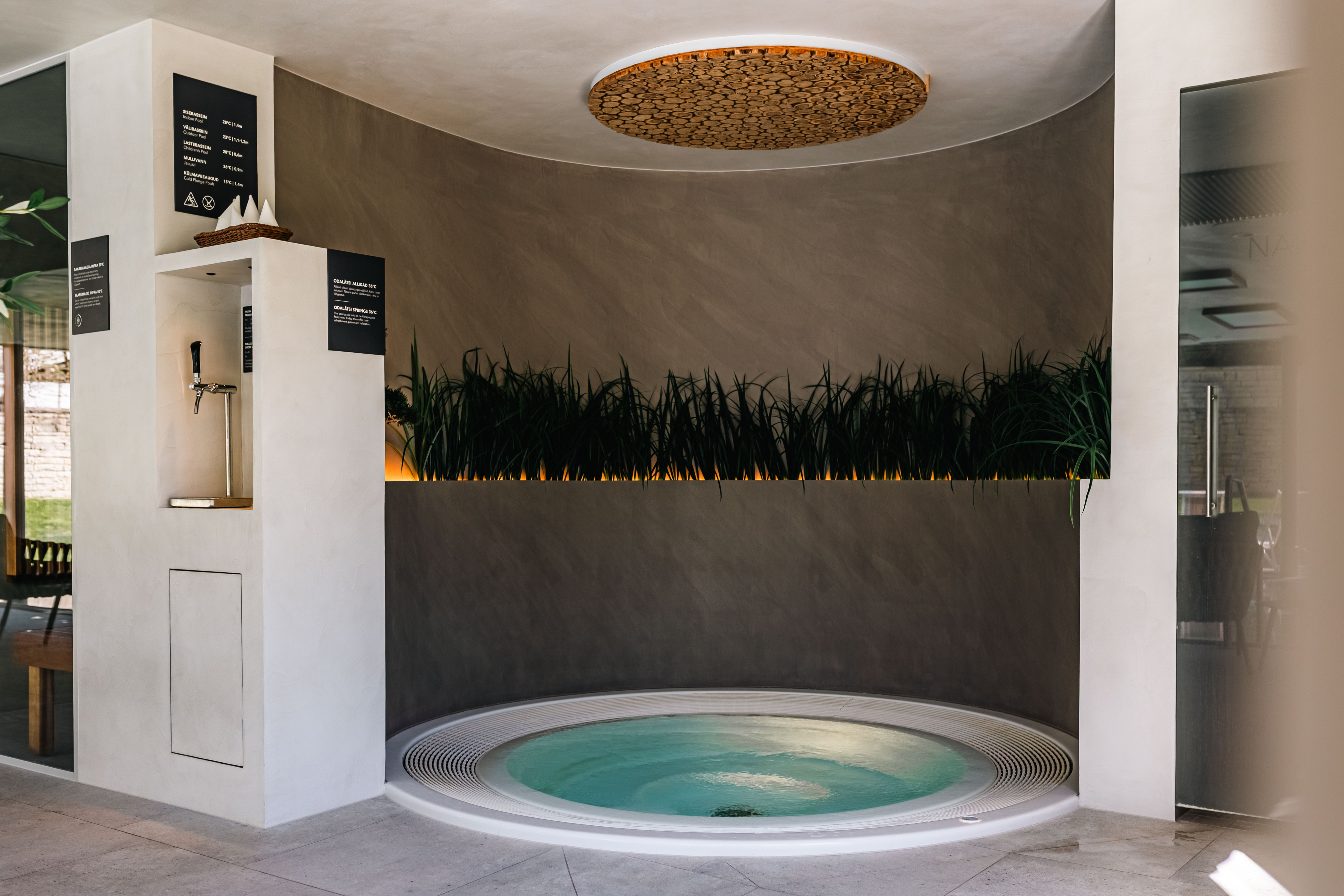 Johan Spa mikrotsement 56