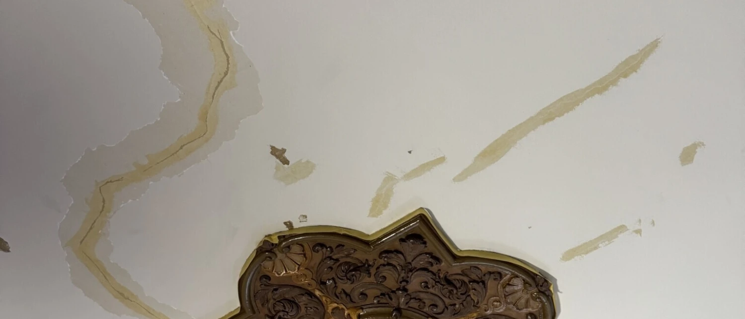 10 23 Mocca Restauratie Groningen Van Dijk Schilderwerken IMG 3331