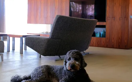 Header dagen betonstuc