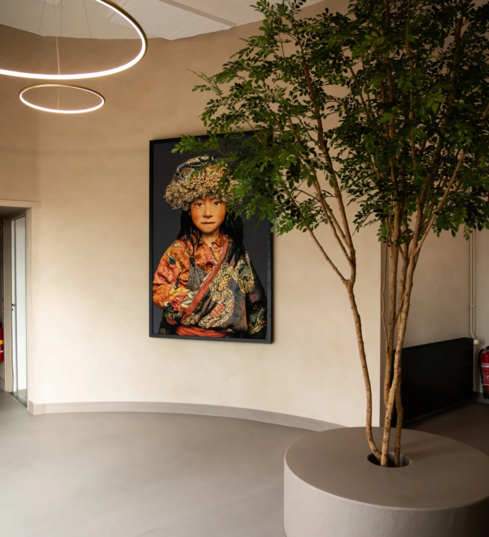 Showroom 9