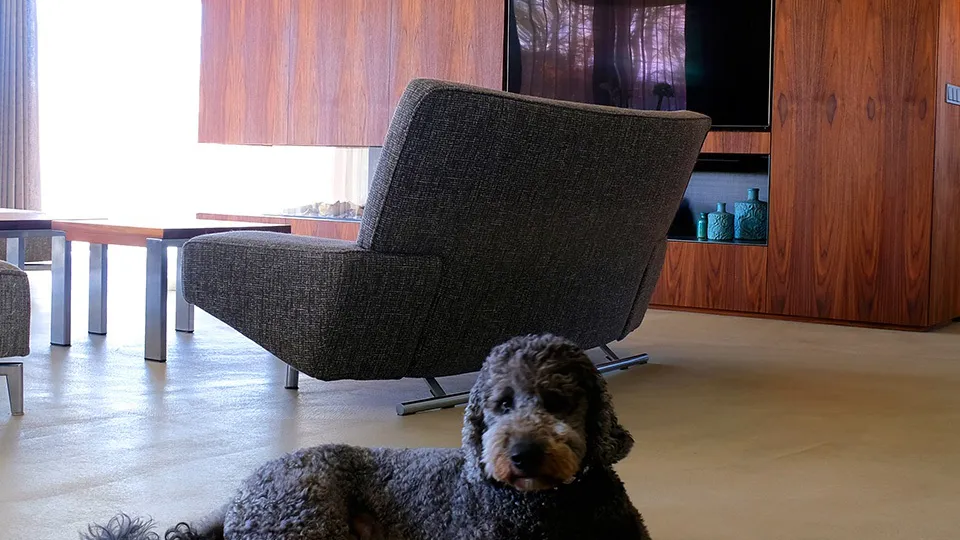 Header dagen betonstuc