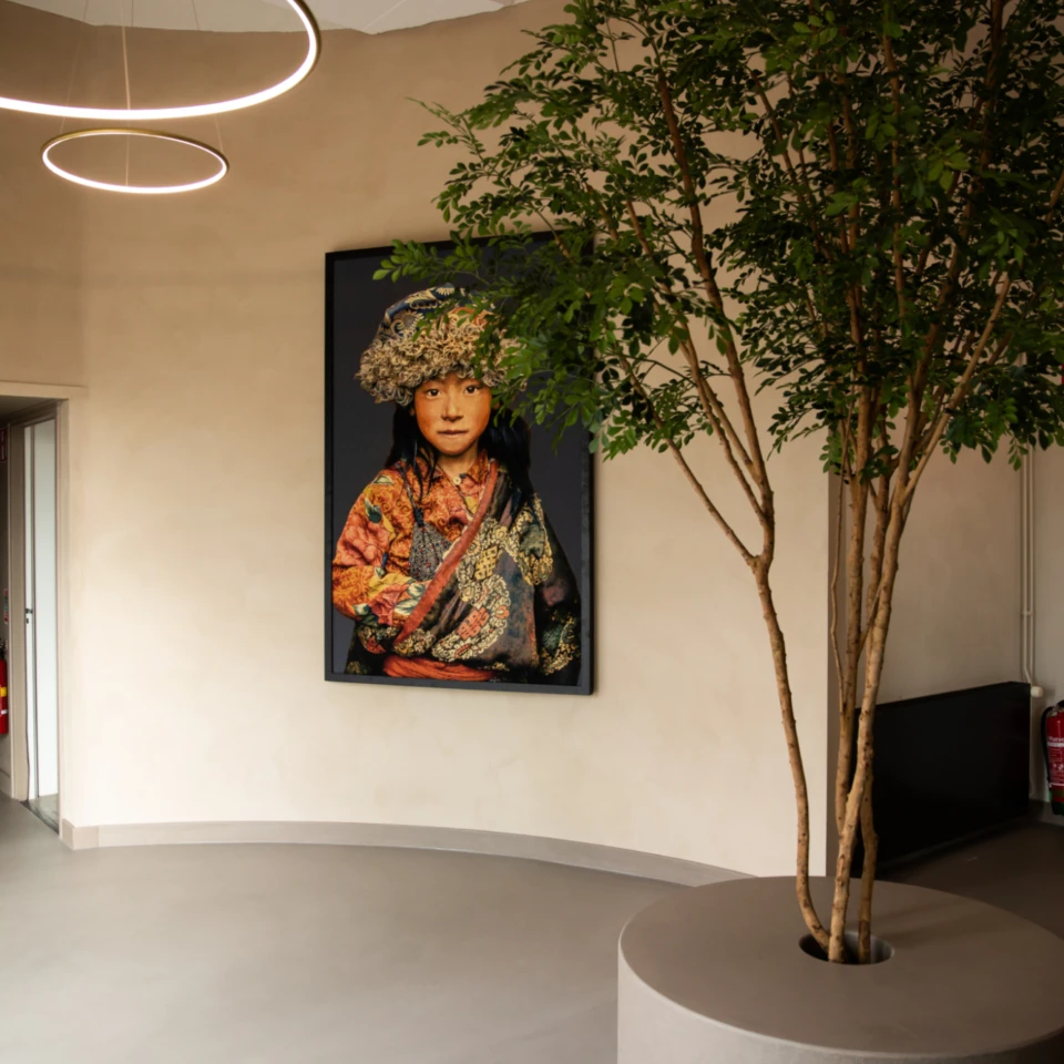 Showroom 9